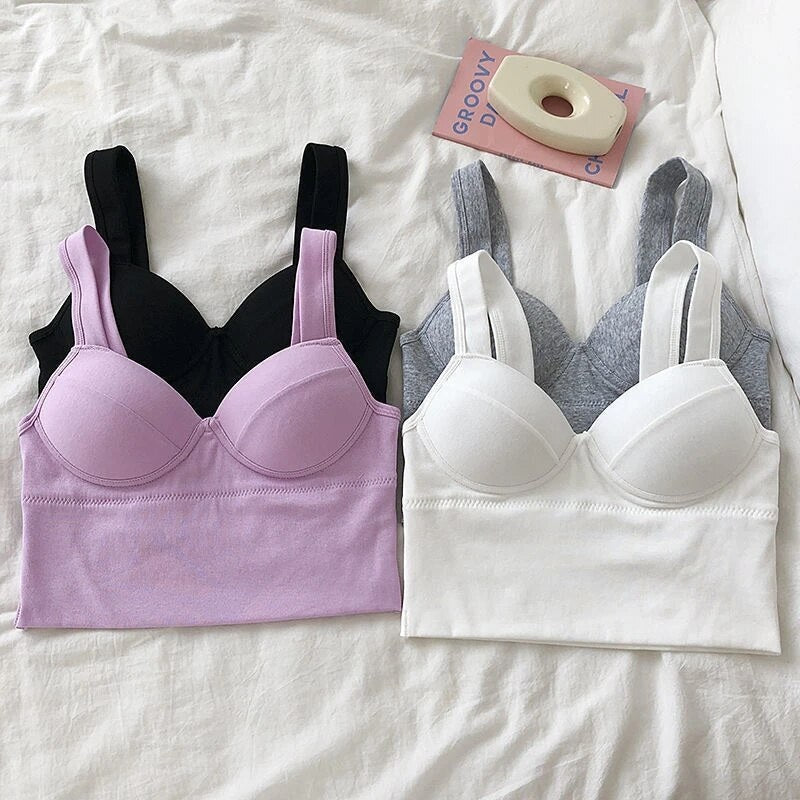 Curve Boost 4-Pack Padded Push-Up Bra