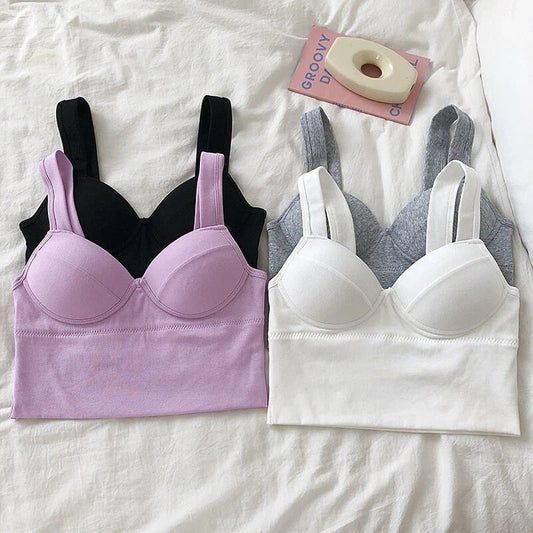 Curve Boost 4-Pack Padded Push-Up Bra
