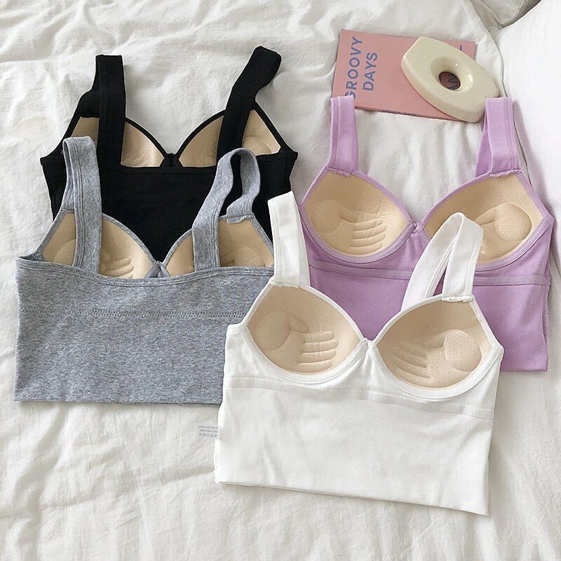 Curve Boost 4-Pack Padded Push-Up Bra